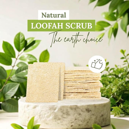 Natural Loofah Dish Sponge Multipurpose Dish Sponges - Image 2