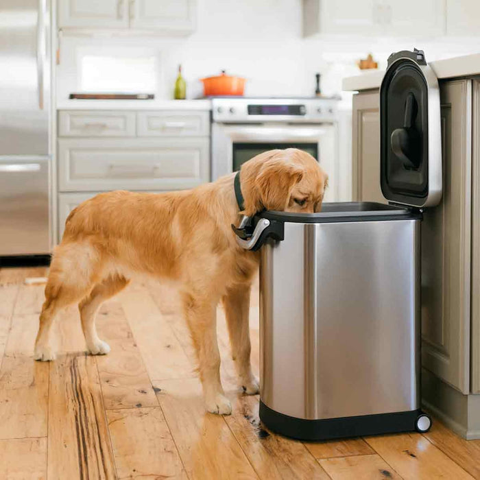 simplehuman Large Pet Food Storage Container, Holds 30-35 lb / 14-16 kg of Dry Dog Food, Cat Food, or Bird Seed, Airtight Lock-Tight Lid with Magnetic Scoop, BPA-Free, Brushed Stainless Steel