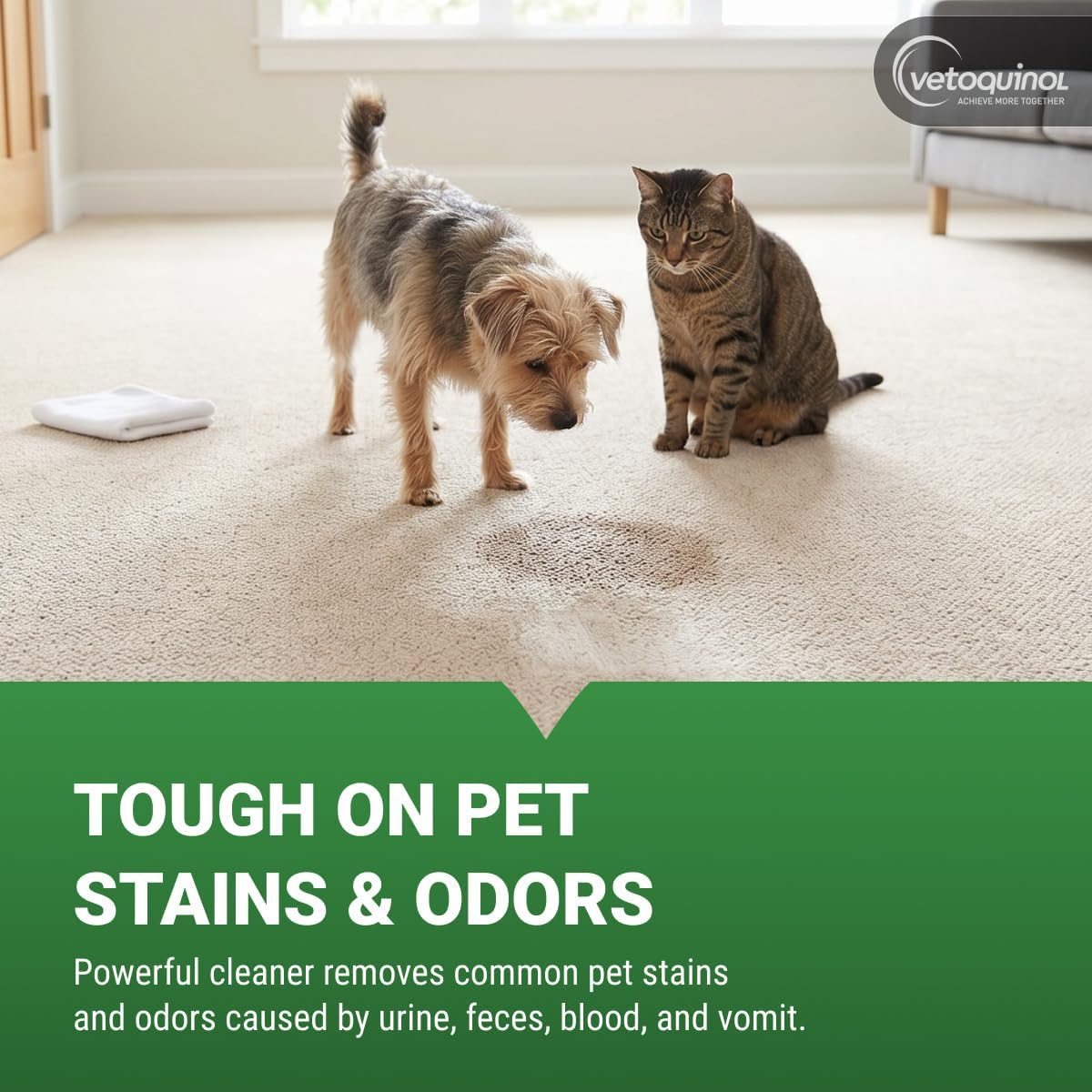 Vetoquinol Equalizer - Pet Carpet Cleaner & Stain Remover Support - Aids with Eliminating Odors - Multi-Surface Cleaner for Carpet, Cars & Furniture - Easy-to-Spray Spot Cleaner - 20oz