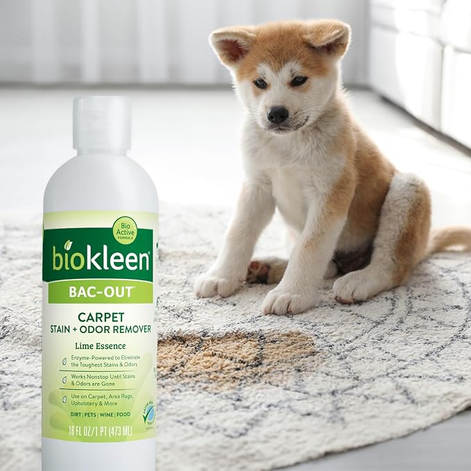 Biokleen Bac-Out Enzymatic Stain & Odor Remover - Image 6