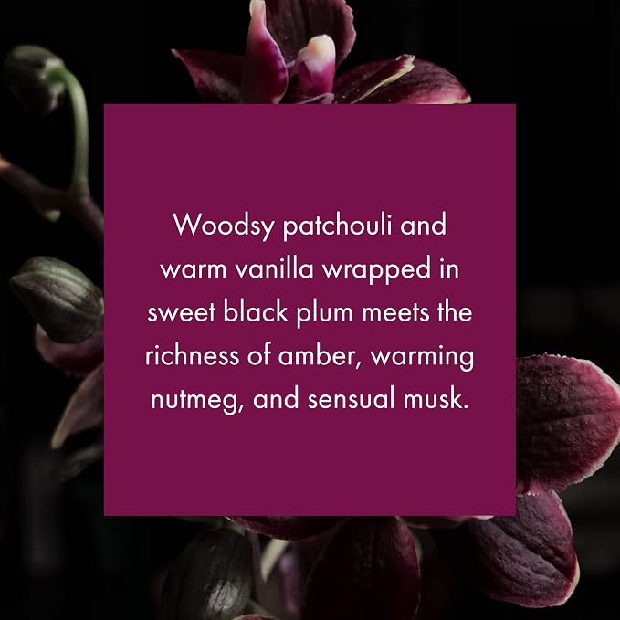 ScentAir Whisper Home Monthly Plug-in Refill, Fragrance Cartridge - Image 2