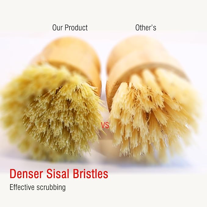 Bamboo Palm Dish Brush Set, Natural Bristle Dish Brush - Image 5