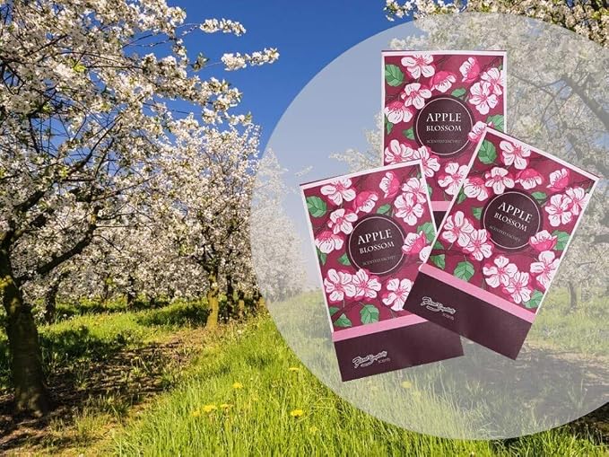 Floral Simplicity Apple Blossom Scented Sachets Pack of 6, Fall & Winter - Image 4