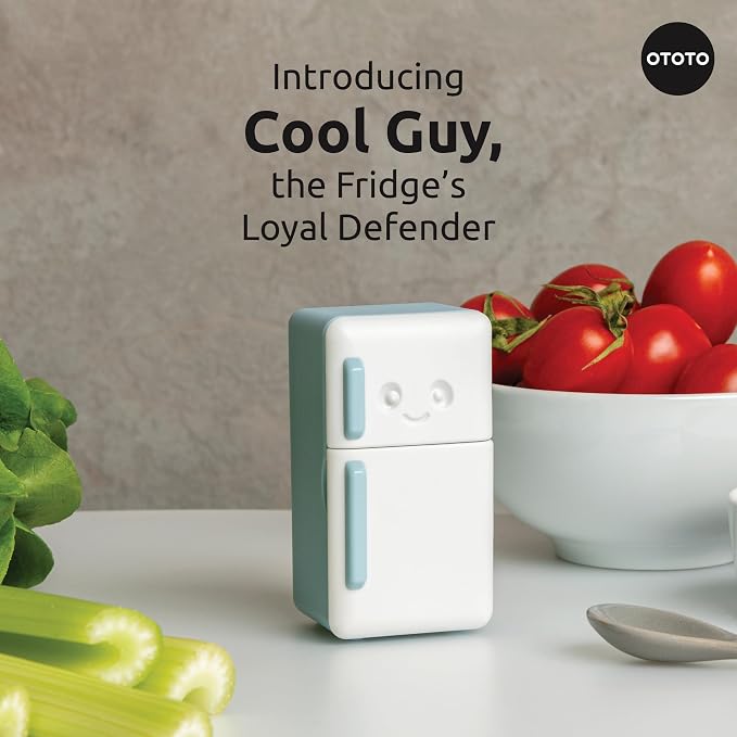 OTOTO Fridge Deodorizer - Image 3