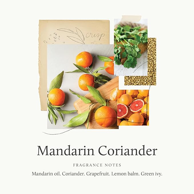 Thymes Mandarin Coriander Reed Diffuser Oil - Image 3