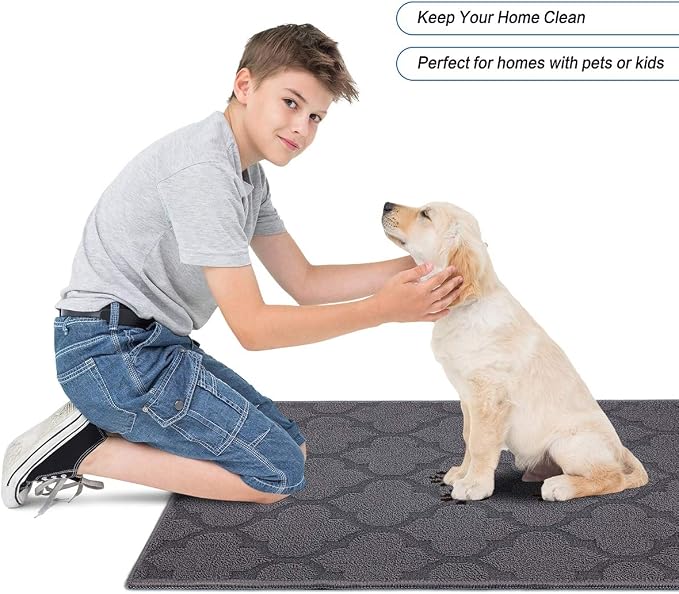 FONEYI Indoor Door Mat, Entrance Rug 24" x 36" Non-Slip Rubber Backing - Image 5