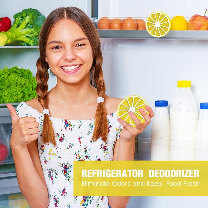 Refrigerator Deodorizer with AOP-KF Solid Alkali Technology, 2 Years - Image 2