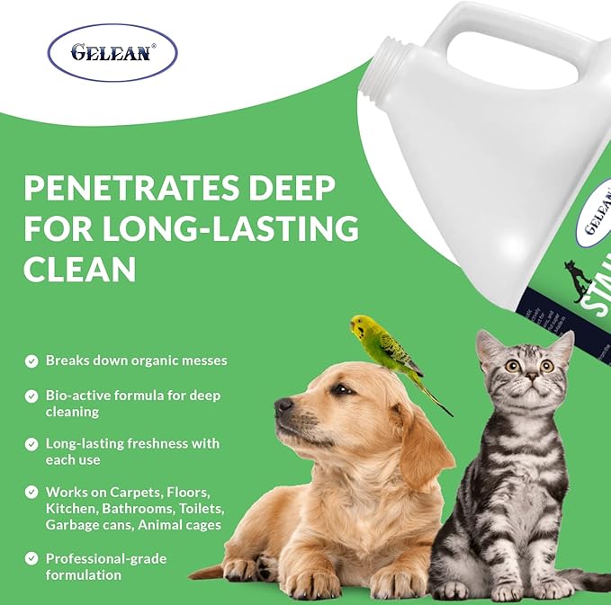 Strong Stain & Odor Eliminator - Image 4