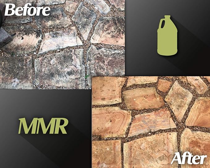 Bad Axe MMR Instant Mold Stain and Mildew Stain Remover - Image 8