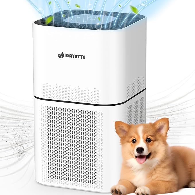 HEPA 14 Air Purifiers for Home Large Room Up to 2200ft², DAYETTE Air Purifiers by Dayette