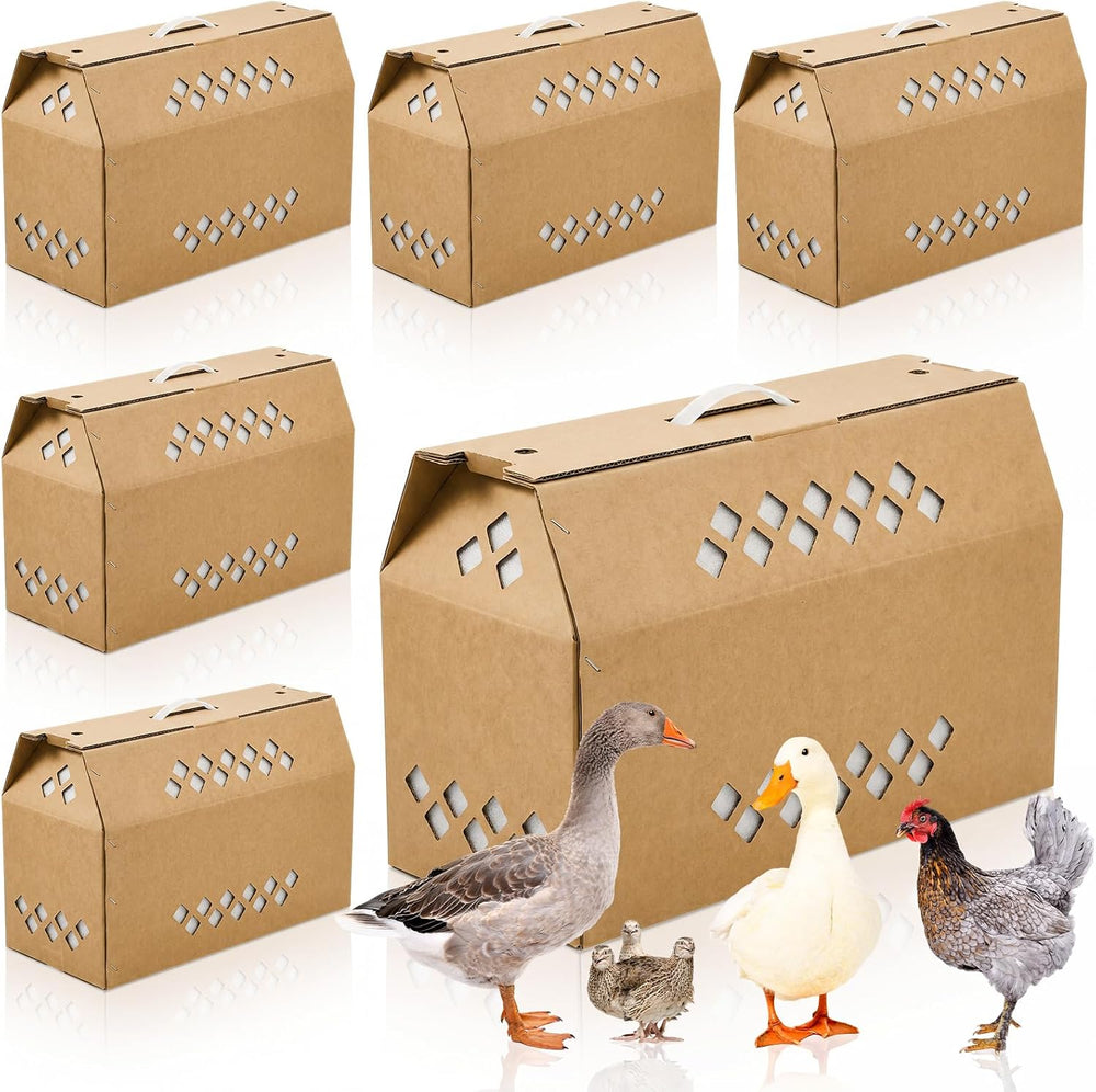 6 Pack Cardboard Chicken Carrier with Ventilation Handle, Kraft