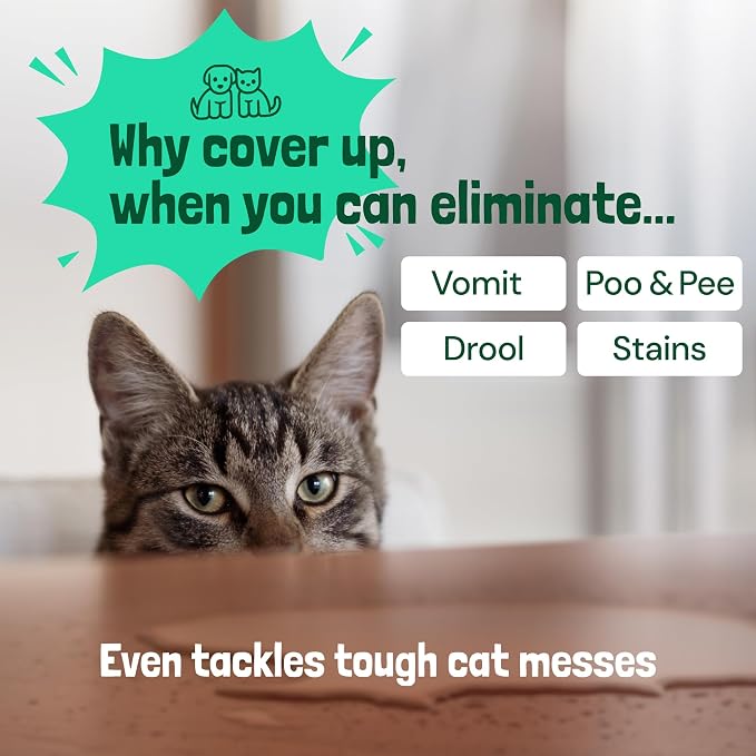 Sunny & Honey Pet Stain & Odor Miracle - Image 5
