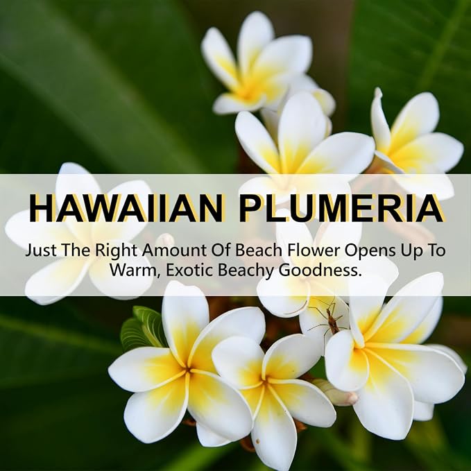 ROSE COTTAGE Large 12 Packs Hawaiian Plumeria Hanging Closet Air Freshener - Image 5