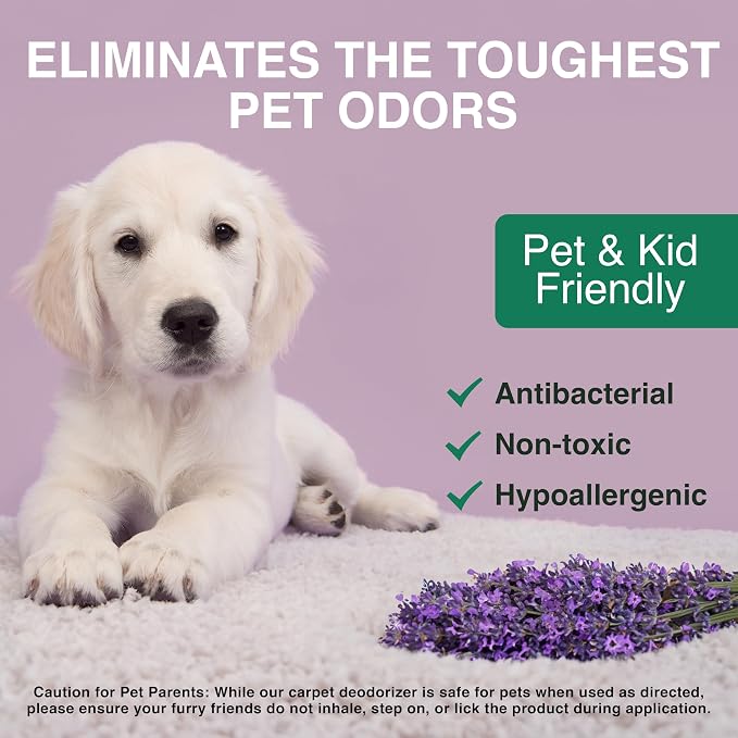 Good Natured Brand | Carpet Deodorizer & Freshener Powder | 31 oz Pet Odor - Image 3