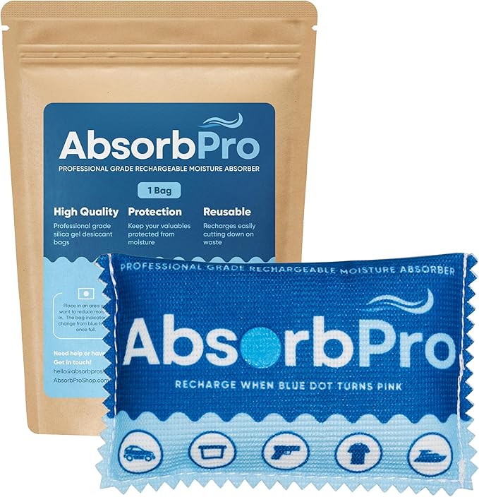 Rechargeable Dehumidifier Bag 1-Pack - 100g Reusable Moisture Absorbers - by AbsorbPro
