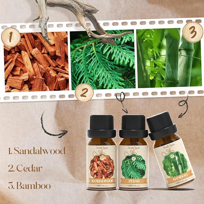 Woody Essential Oils Set, Fragrance Oil Set - Image 2