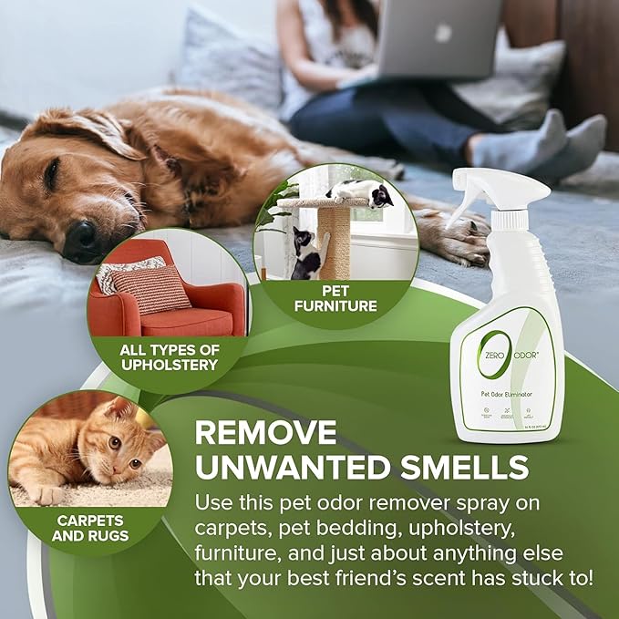 Zero Odor - Pet Odor Eliminator - Image 3