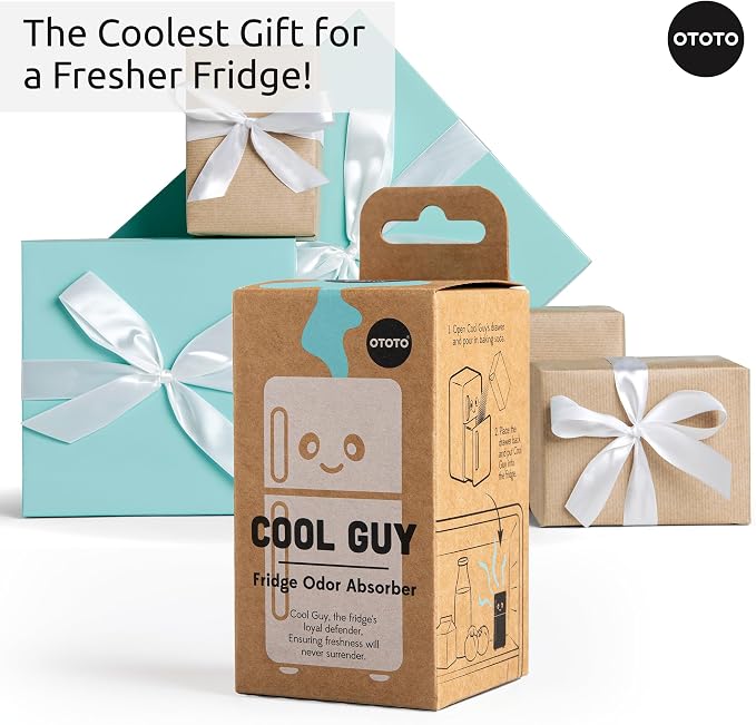 OTOTO Fridge Deodorizer - Image 9