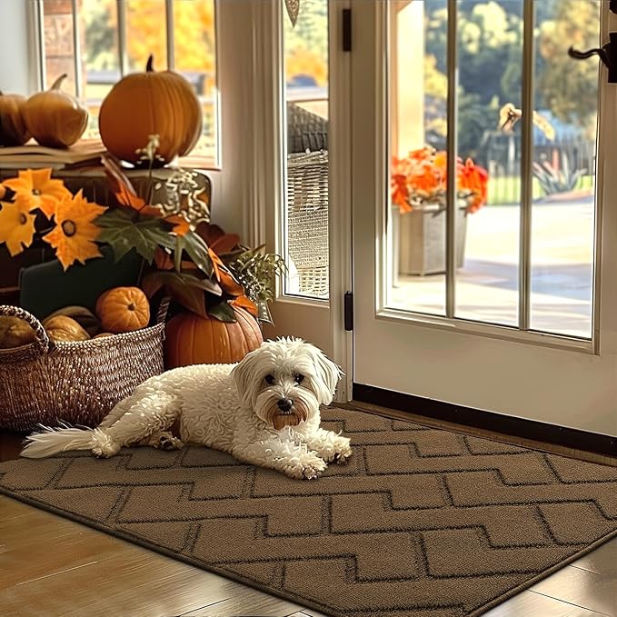hicorfe Indoor Door Mat, Non Slip Door Mats, Absorbent Resist Dirt Entrance by Hicorfe