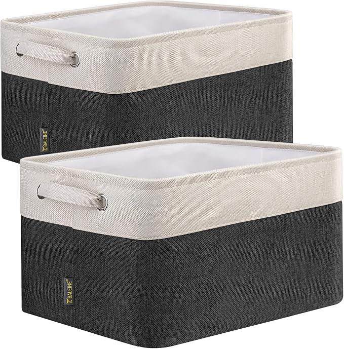 BALEINE 2 Pack Fabric Storage Bins by BALEINE