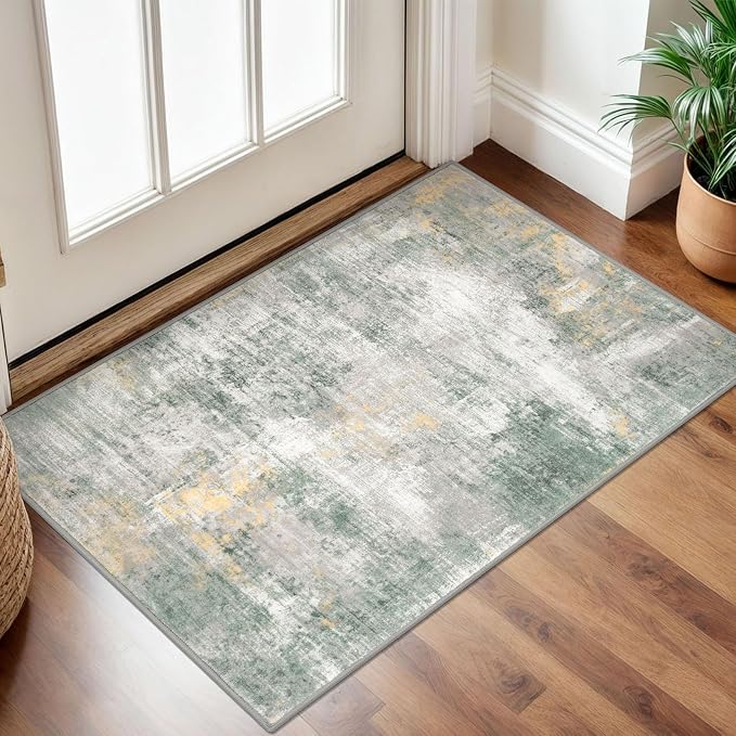 IOHOUZE Small Abstract Area Rug 2x3 Ft Entryway Rugs Washable Door Mat Indoor by iOhouze