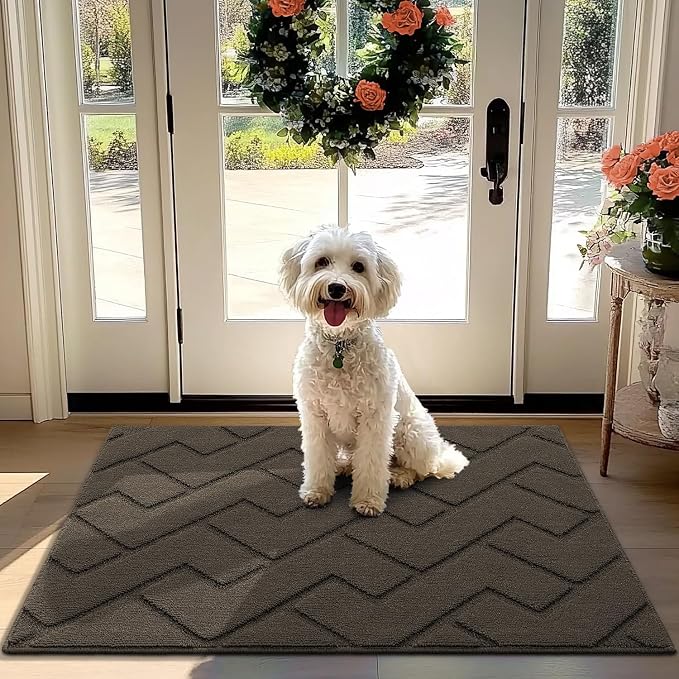 hicorfe Front Door Mat Outside Entrance, Stain and Fade Resistant, Non Slip by Hicorfe
