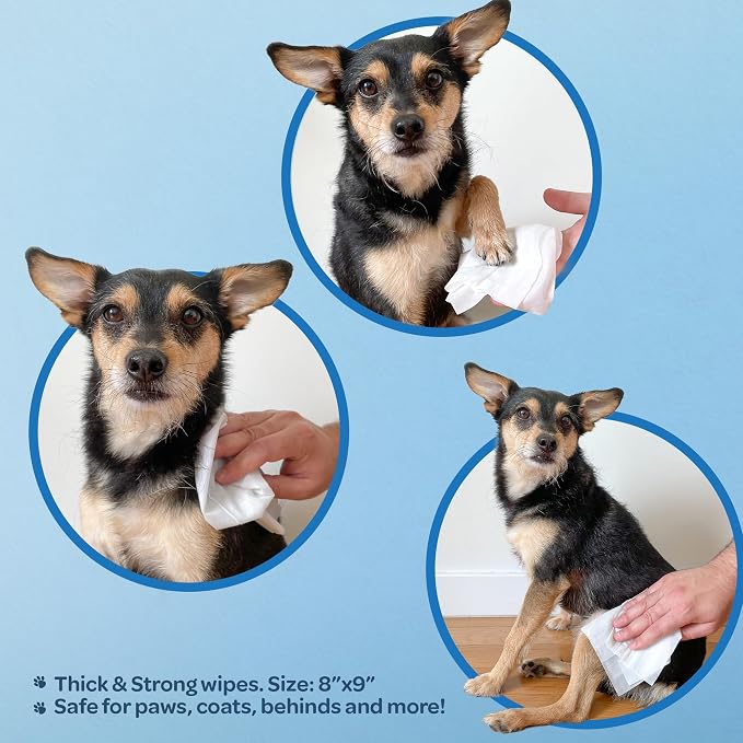 Best Pet Supplies Pet Wipes for Dogs - Image 4