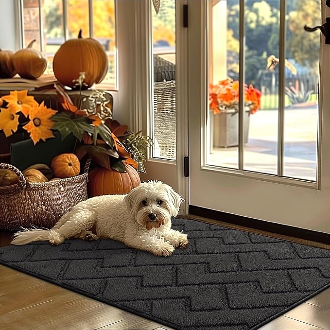 hicorfe Indoor Door Mat, Non Slip Door Mats, Absorbent Resist Dirt Entrance by Hicorfe