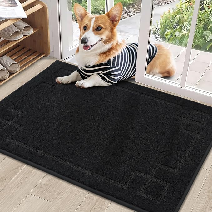 BEQHAUSE Door Mat 24" x 36", Non-Slip Door Mats Indoor Entryway Rugs Washable by BEQHAUSE