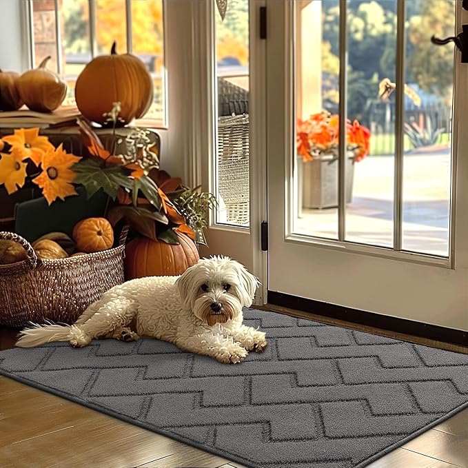 hicorfe Indoor Door Mat, Non Slip Door Mats, Absorbent Resist Dirt Entrance by Hicorfe