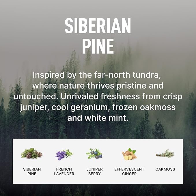 Laundry Sauce - Signature Bundle Siberain Pine, Scented Laundry Detergent Pods - Image 6