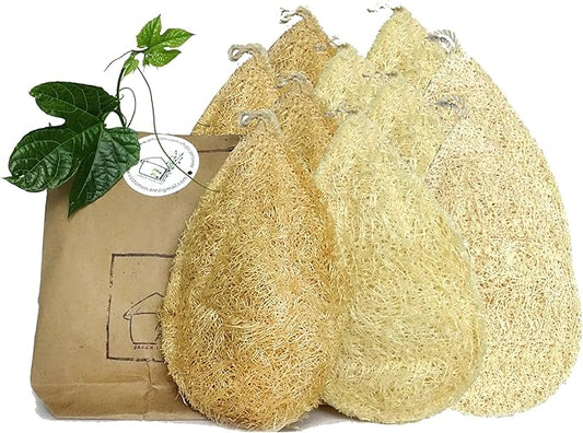Natural Loofah Dish Sponge by MiwPiw