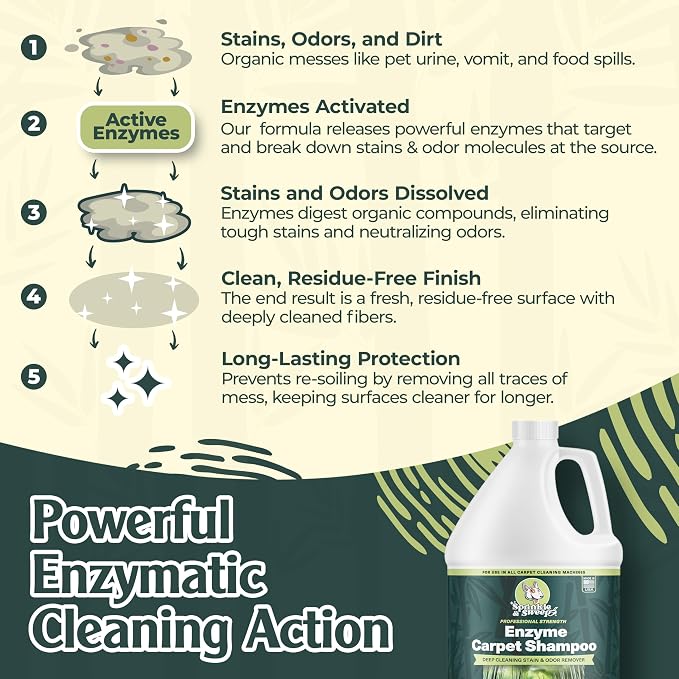 Enzyme Carpet Cleaner - Image 2