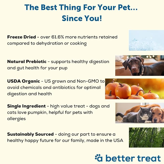A Better Treat – Freeze Dried Organic Pumpkin Dog and Cat Treats, Single - Image 3