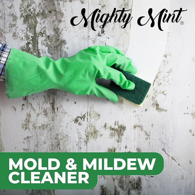 Mighty Mint Mold & Mildew Stain Remover Spray, Rapid Clean - Image 4