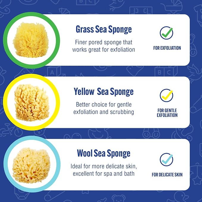 Baby Buddy Baby Bath 4in Yellow Sea Sponge, Absorbent Natural Sea Sponge - Image 5