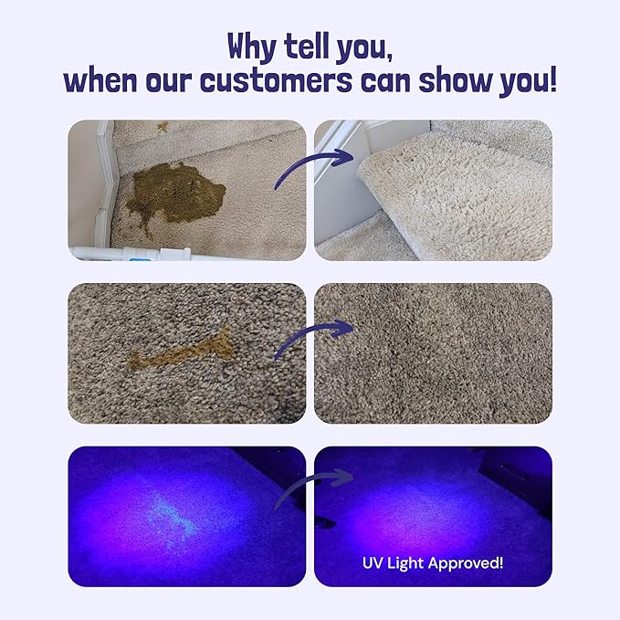 Sunny & Honey Pet Stain & Odor Miracle - Image 2