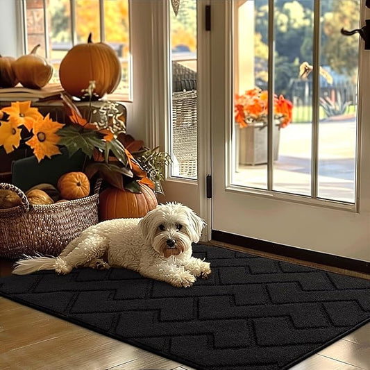 hicorfe Indoor Door Mat, Non Slip Door Mats, Absorbent Resist Dirt Entrance by Hicorfe