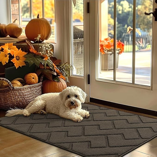 hicorfe Indoor Door Mat, Non Slip Door Mats, Absorbent Resist Dirt Entrance by Hicorfe