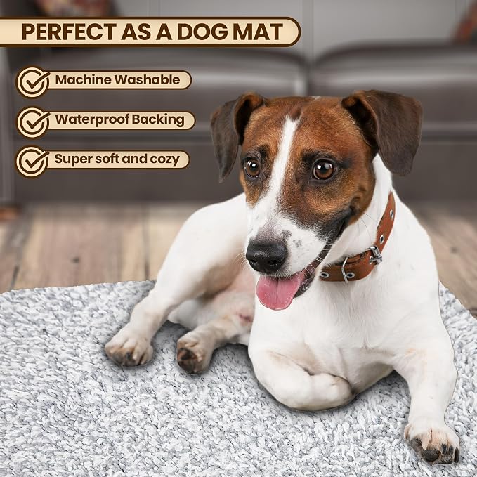 Premium Microfiber Indoor Door Mat – 20"x30" Washable Entry Mat, Waterproof - Image 6