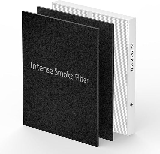 AP-1512HH & 200M Intense Smoke Filter Set by Cabiclean