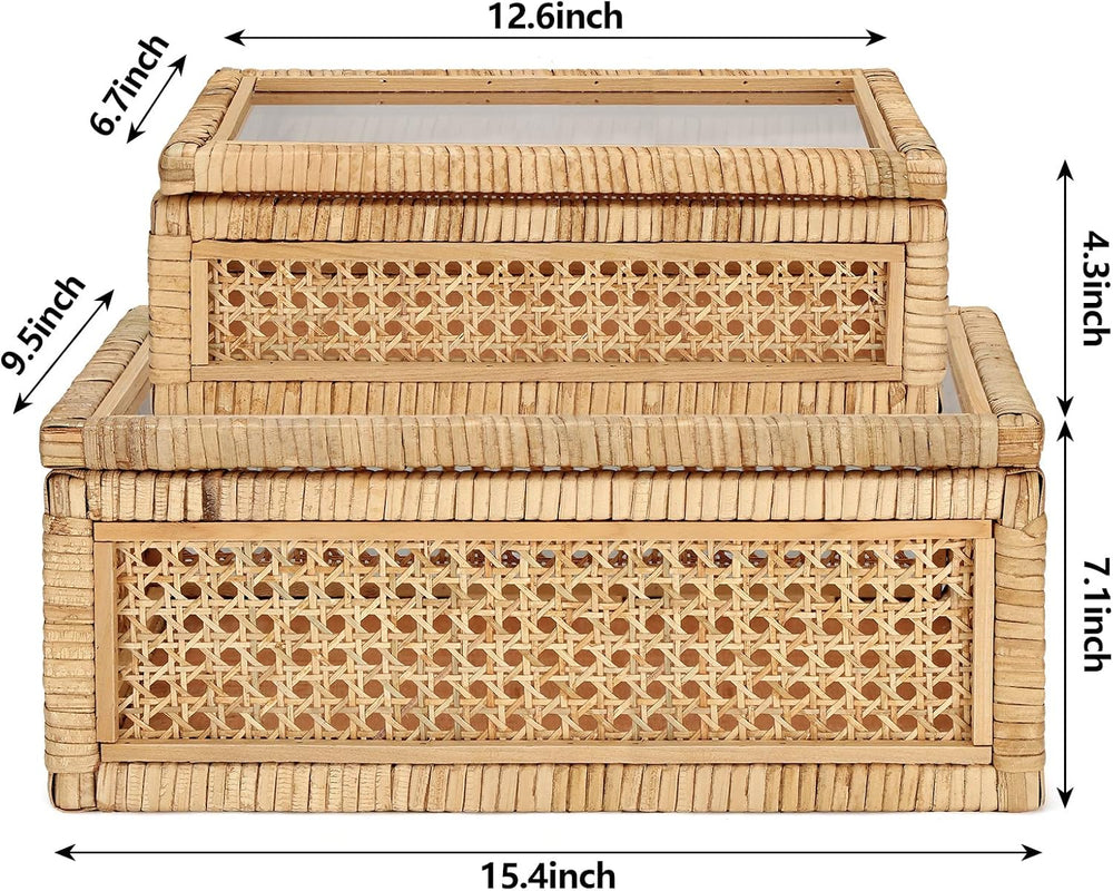 Amyhill Set of 2 Rattan Decorative Box with Glass Lid Rectangular Natural Wov...