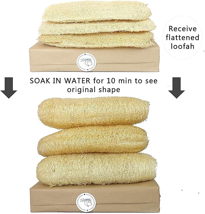 Natural Whole Loofah Dish Sponge - Image 2