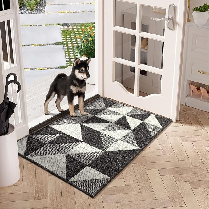hicorfe Indoor Doormat, Low-Profile Absorbent Resist Dirt Entryway Doormat by Hicorfe