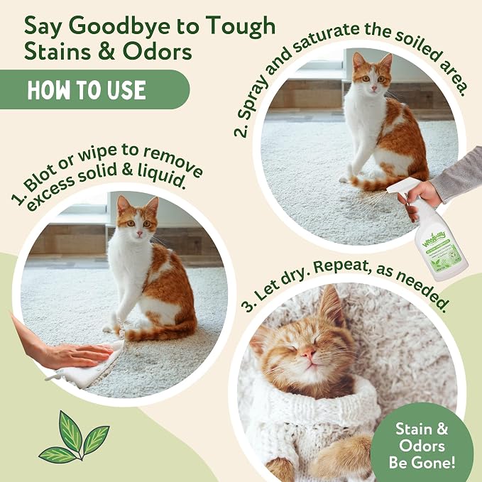 Wee Away X2 Ultra Concentrated Pet Stain and Odor Remover, Enzyme Cleaner - Image 2