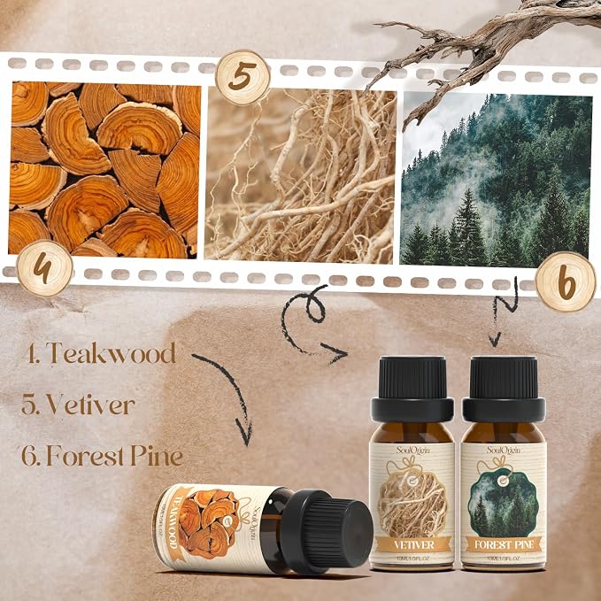 Woody Essential Oils Set, Fragrance Oil Set - Image 3