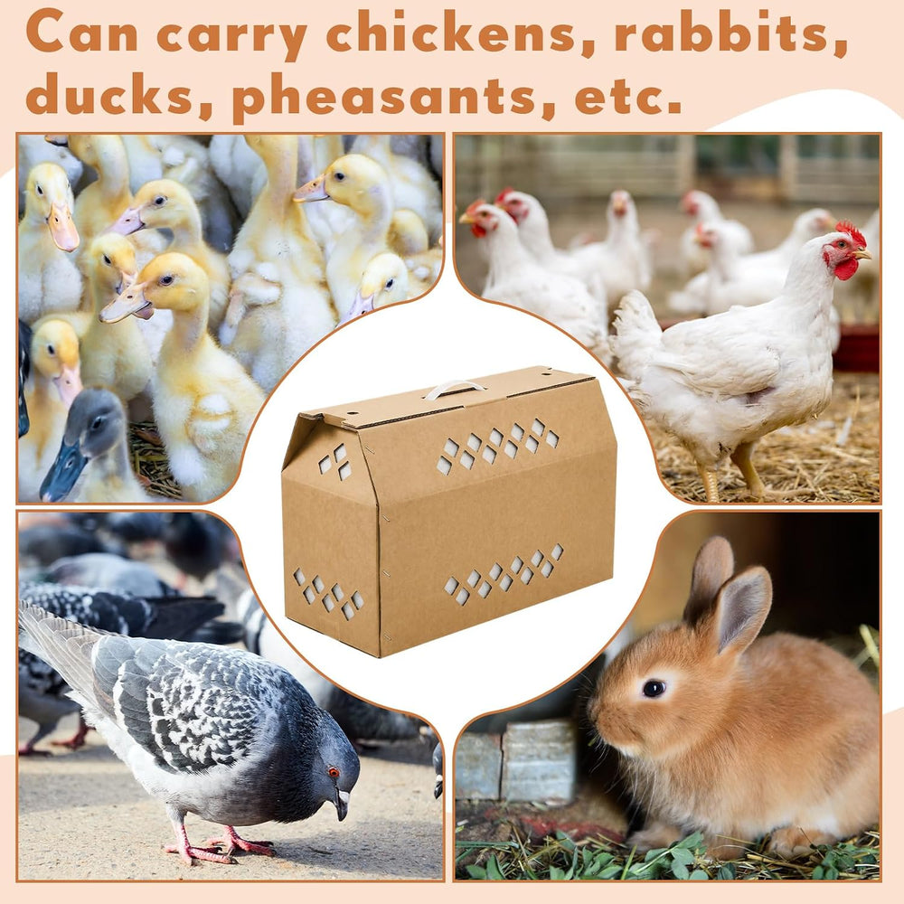 6 Pack Cardboard Chicken Carrier with Ventilation Handle, Kraft