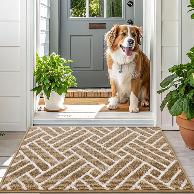 OLANLY Indoor Door Mat, 48x32 Inch, Dirt Resistant and Absorbent, Non-Slip - Image 6