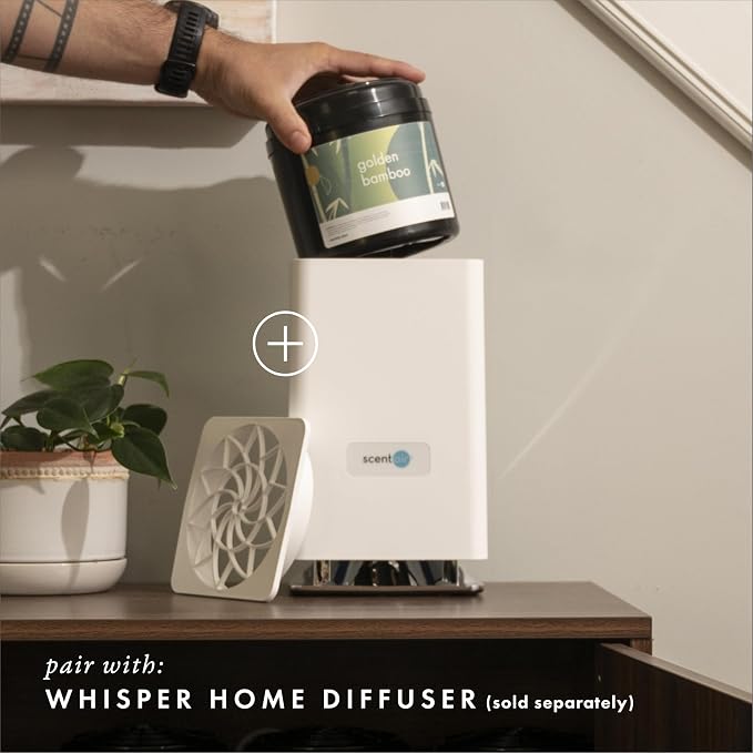 ScentAir Whisper Home Monthly Plug-in Refill, Fragrance Cartridge - Image 3