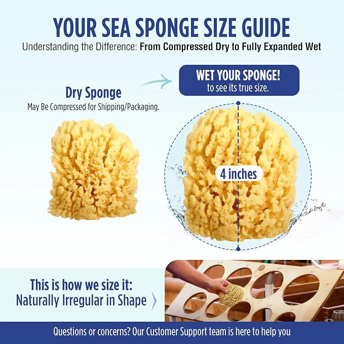 Baby Buddy Absorbent Natural Bath Sponge, Soft Exfoliating Grass Sponge - Image 7